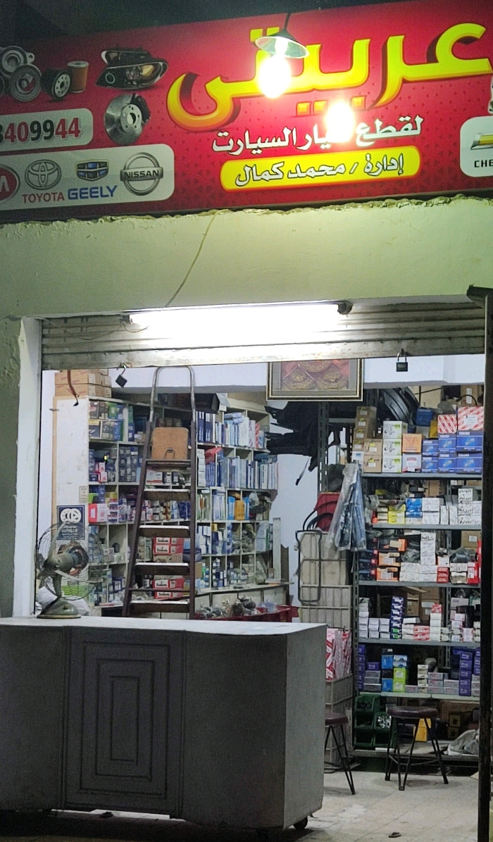 هادي محمد